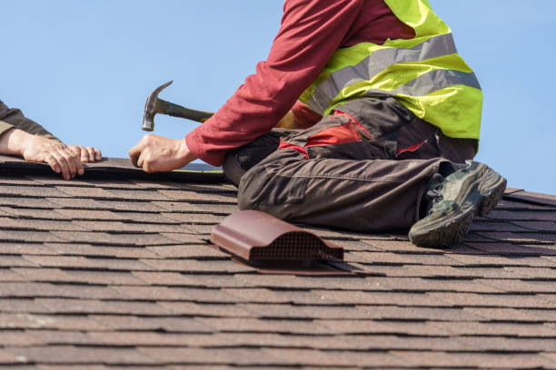 Best Roof Maintenance Services  in Park Center, CO