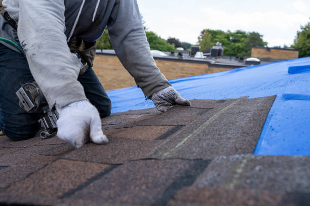 Best Local Roofing Companies  in Park Center, CO