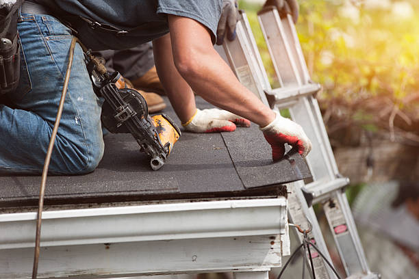 Roof Gutter Cleaning in Park Center, CO
